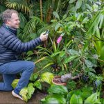 مرجع مقایسه برندها | نقد و بررسی کسب و کارها | بازخورد نظرات کاربران